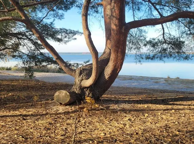 Schwimmende Rooftop شقة